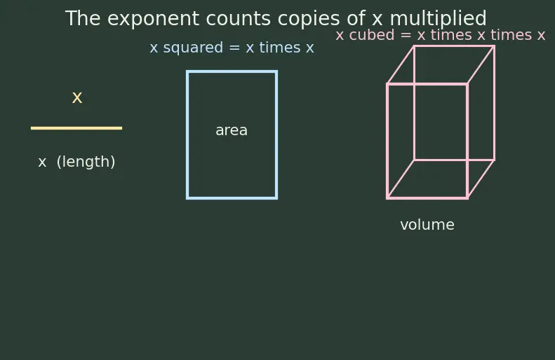 Figure — Multiplication of algebraic expressions — monomial × polynomial, polynomial × polynomial