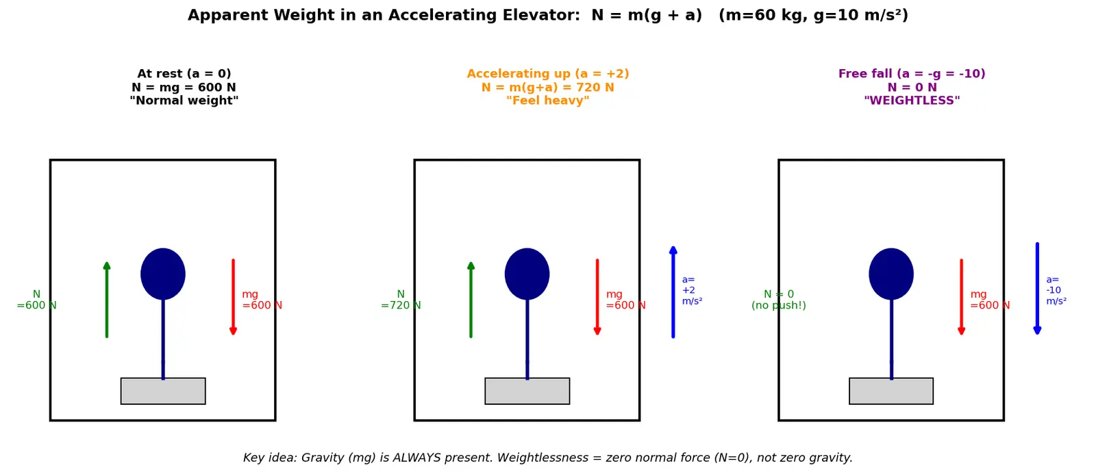 Figure — Weightlessness — true (free fall) vs apparent