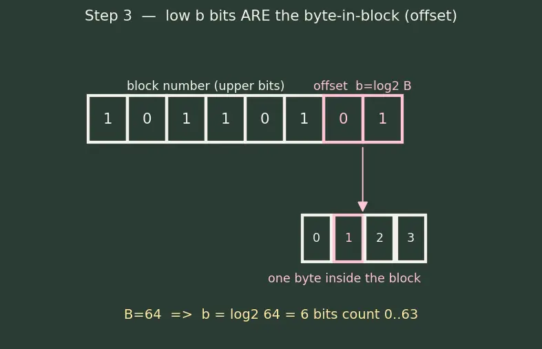Figure — Cache organization — direct-mapped, n-way set associative, fully associative