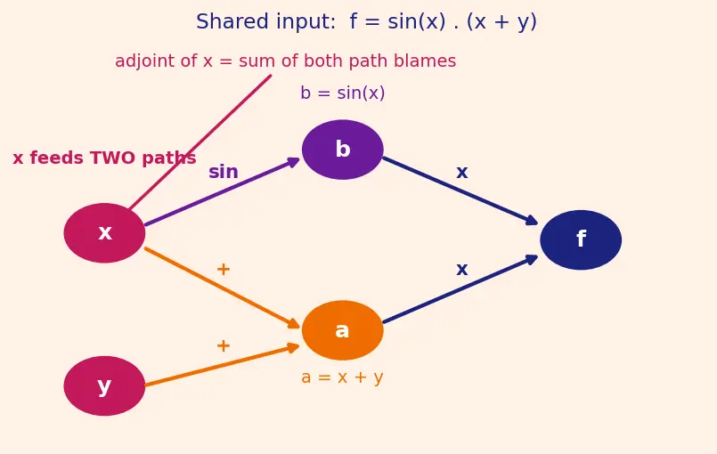 Figure — Computational graphs and autograd