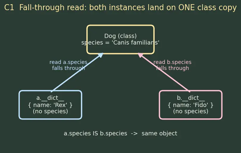 Figure — Instance attributes vs class attributes