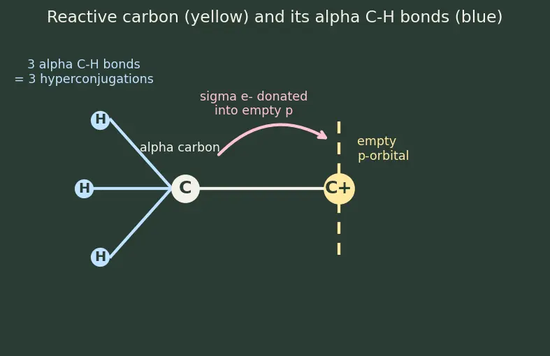 Figure — Reactive intermediates — carbocations (stability), carbanions, free radicals, carbenes, nitrenes; rearrangements (hydrid