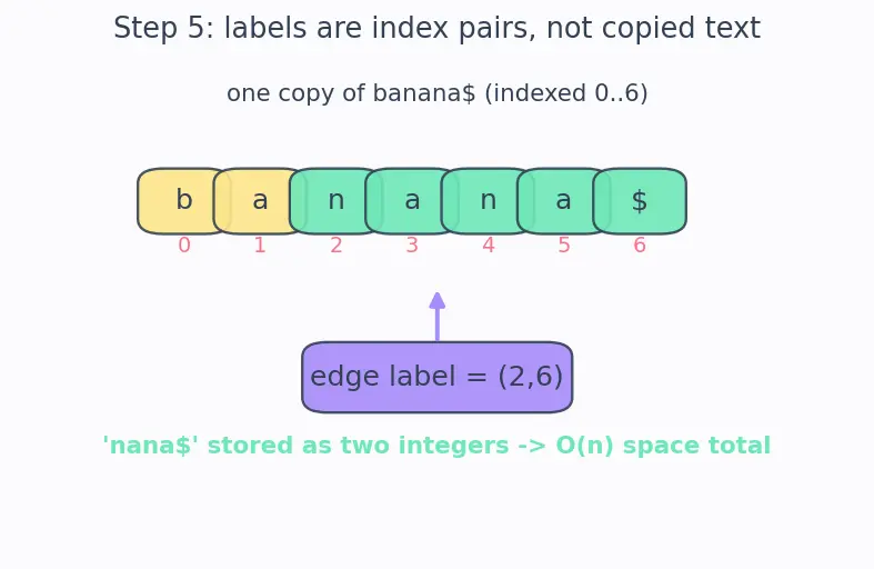 Figure — Suffix tree (conceptual)