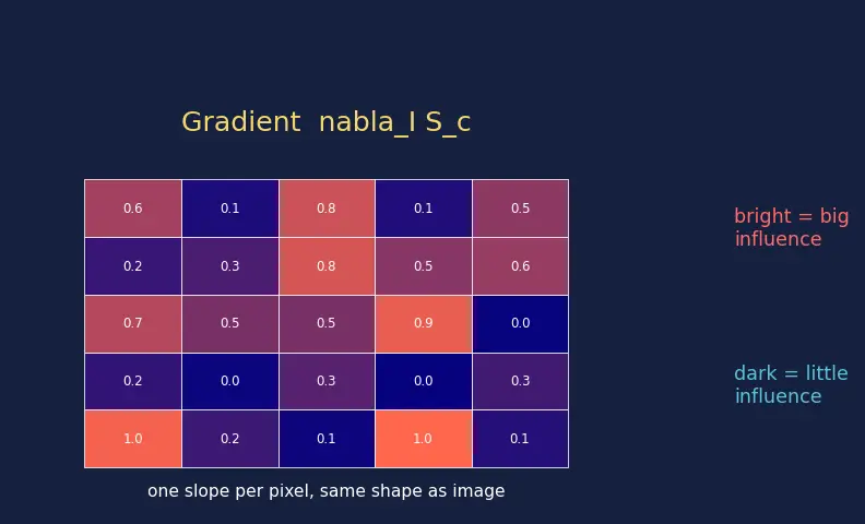 Figure — Saliency maps and Grad-CAM