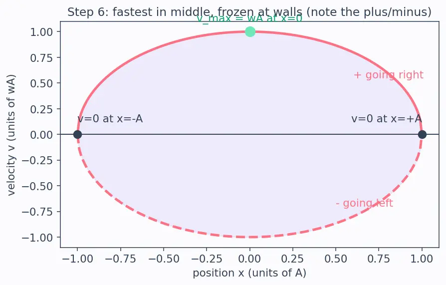 Figure — Velocity and acceleration in SHM — v = ω√(A² − x²)