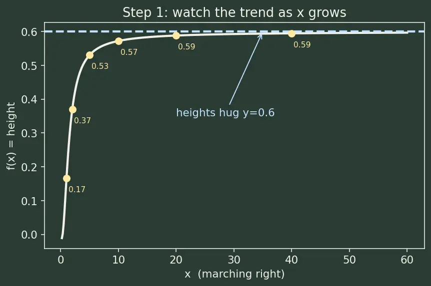 Figure — Infinite limits and limits at infinity — vertical - horizontal asymptotes