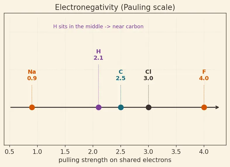 Figure — Position of hydrogen in the periodic table (anomalous)