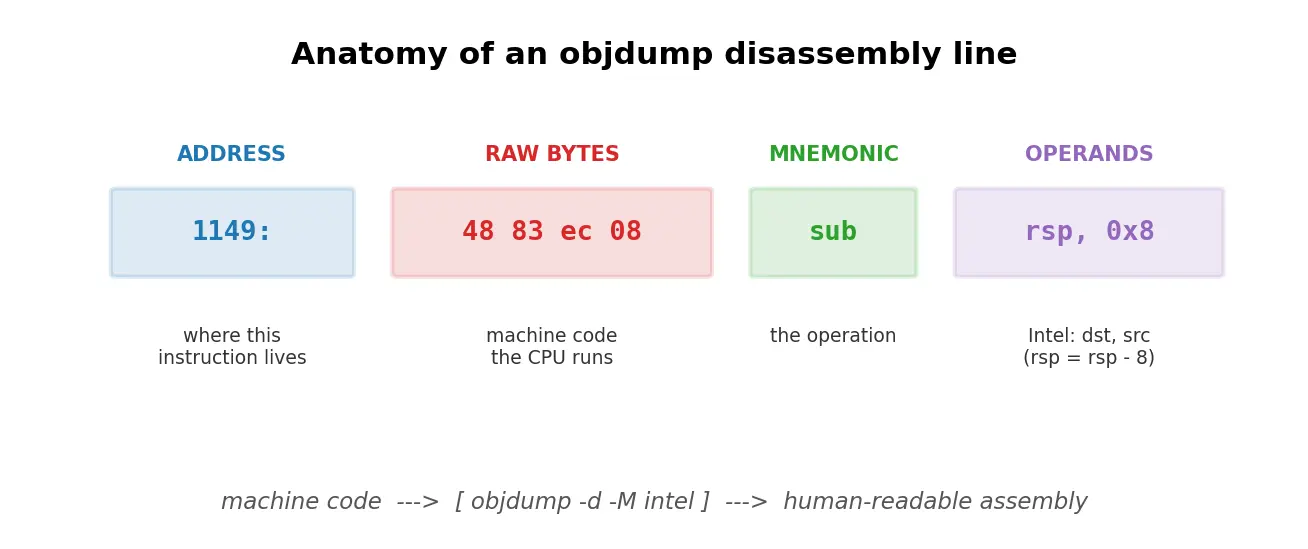Figure — Disassembly — objdump, reading assembly