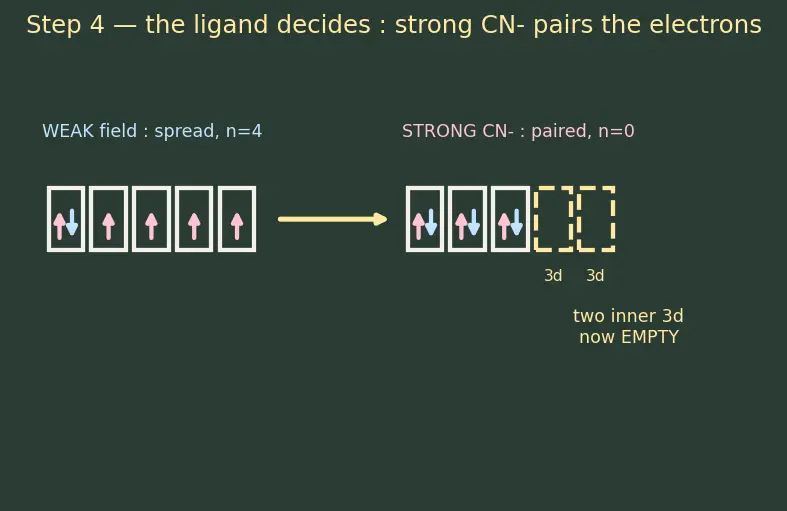 Figure — VBT applied to complexes — inner vs outer orbital, hybridization, magnetism