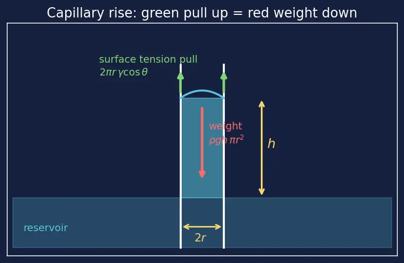 Figure — Liquid state — vapour pressure, viscosity, surface tension