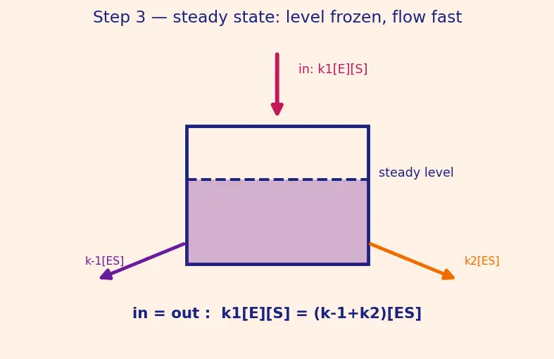 Figure — Catalysis — homogeneous, heterogeneous, enzyme catalysis