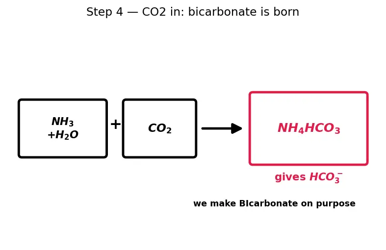 Figure — Important compounds — NaOH, NaCl, Na₂CO₃ (Solvay), NaHCO₃; CaO, CaCO₃, gypsum, plaster of Paris