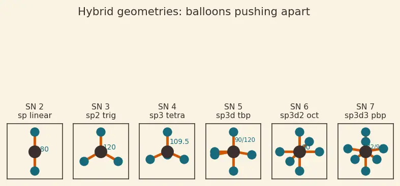 Figure — Valence Bond Theory (VBT) — hybridization (sp, sp², sp³, sp³d, sp³d²)