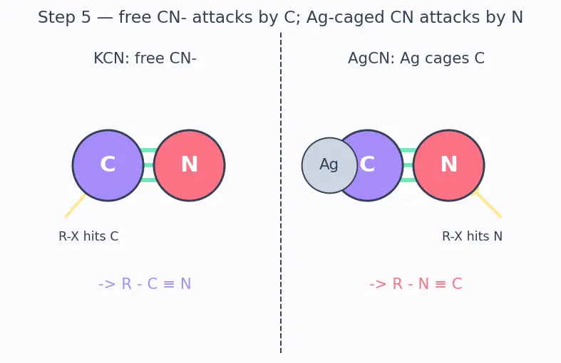 Figure — Cyanides and isocyanides