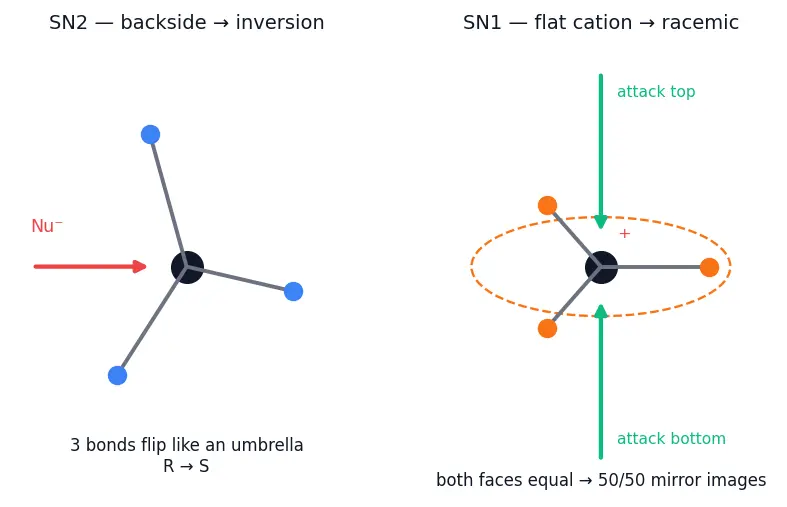 Figure — Alkyl halides — preparation, SN1 vs SN2 (mechanism, kinetics, stereochemistry), E1 vs E2 (mechanism, Zaitsev - Hofmann)