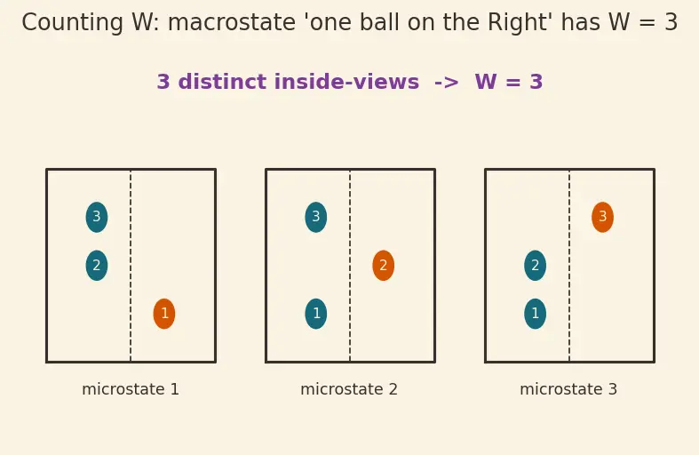 Figure — Entropy and disorder — Boltzmann S = k·ln(W)