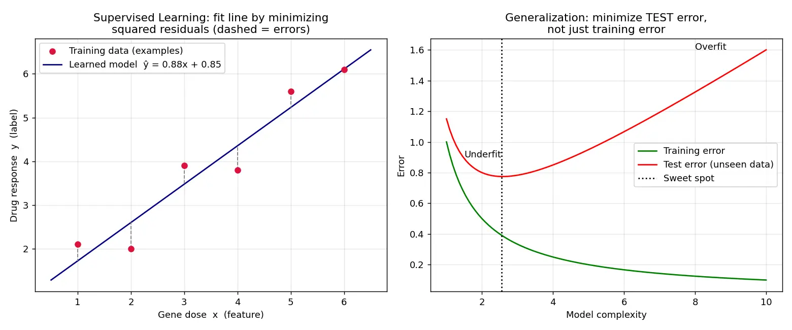 Figure — Introduce machine learning in biology