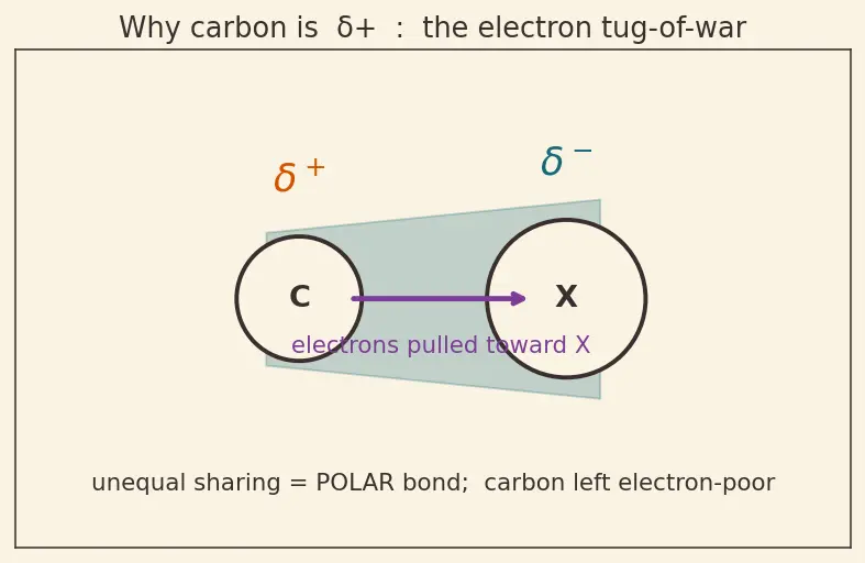 Figure — Alkyl halides — preparation, SN1 vs SN2 (mechanism, kinetics, stereochemistry), E1 vs E2 (mechanism, Zaitsev - Hofmann)