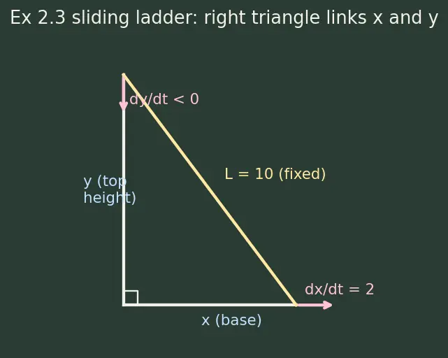 Figure — Related rates — setting up and solving