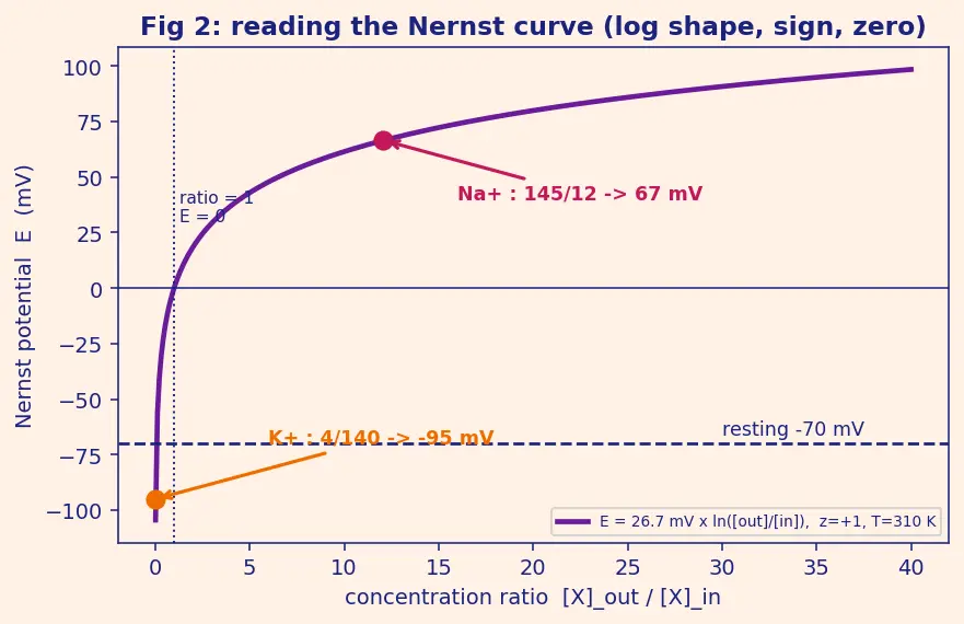 Figure — Biological importance of Na, K, Ca, Mg
