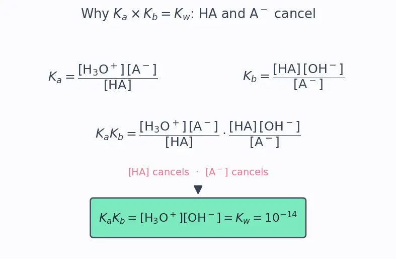 Figure — Conjugate acid-base pairs