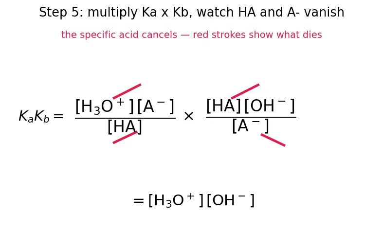 Figure — Conjugate acid-base pairs