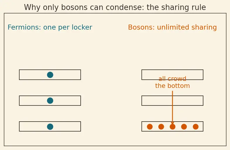 Figure — Bose-Einstein condensation — concept