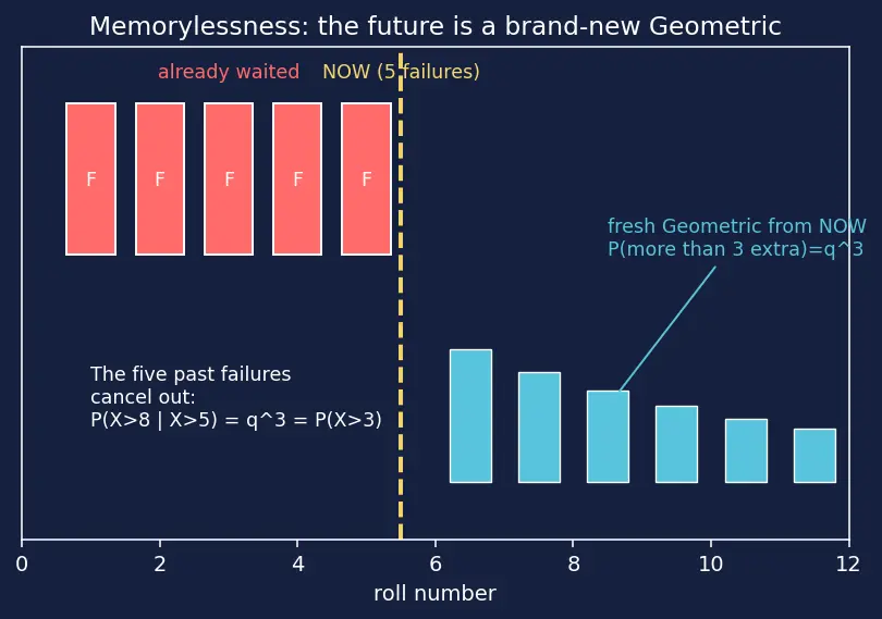 Figure — Common discrete distributions — Bernoulli, Binomial, Poisson, Geometric, Negative Binomial