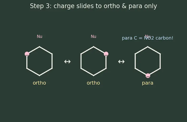 Figure — Aryl halides — low reactivity, addition-elimination (benzyne mechanism), nucleophilic aromatic substitution