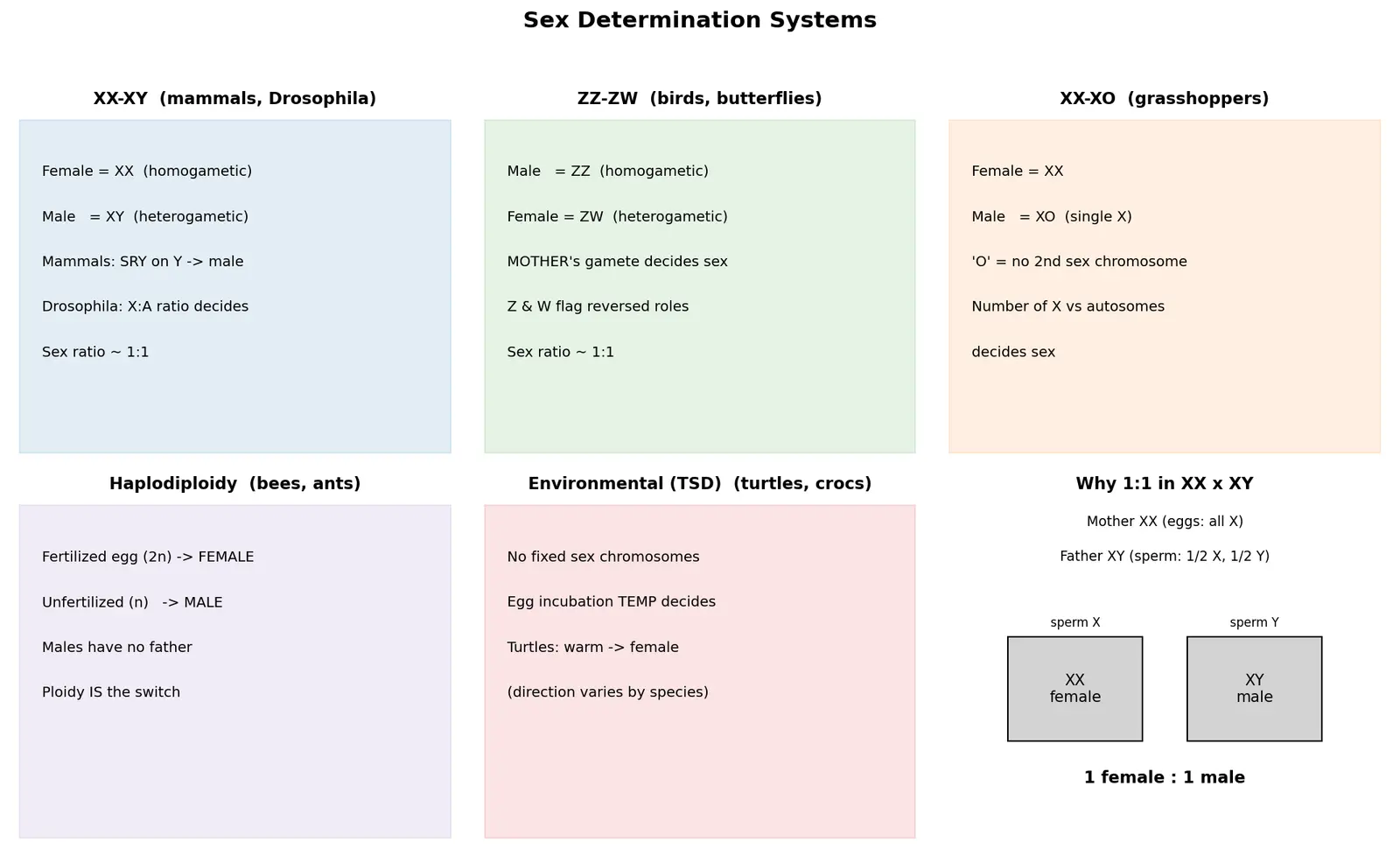 Figure — Describe sex determination systems