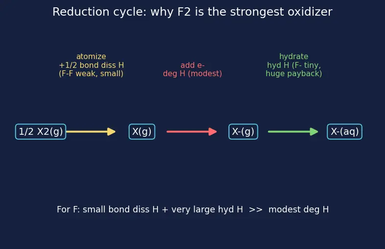 Figure — Group 17 (Halogens) — properties, oxidizing power; HX strengths; interhalogens; pseudohalogens