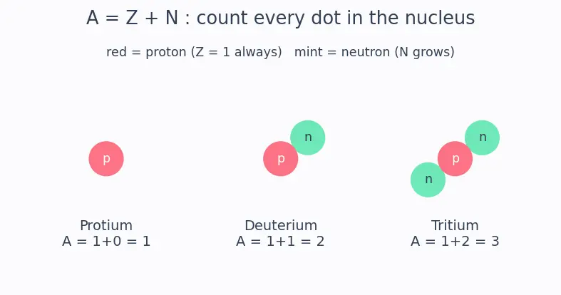 Figure — Isotopes of hydrogen — protium, deuterium, tritium