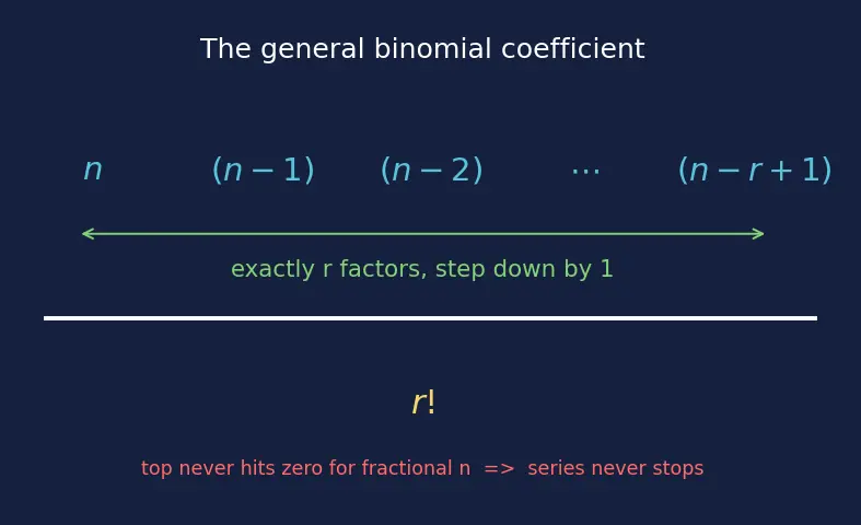 Figure — Binomial theorem for rational indices (approximate values)