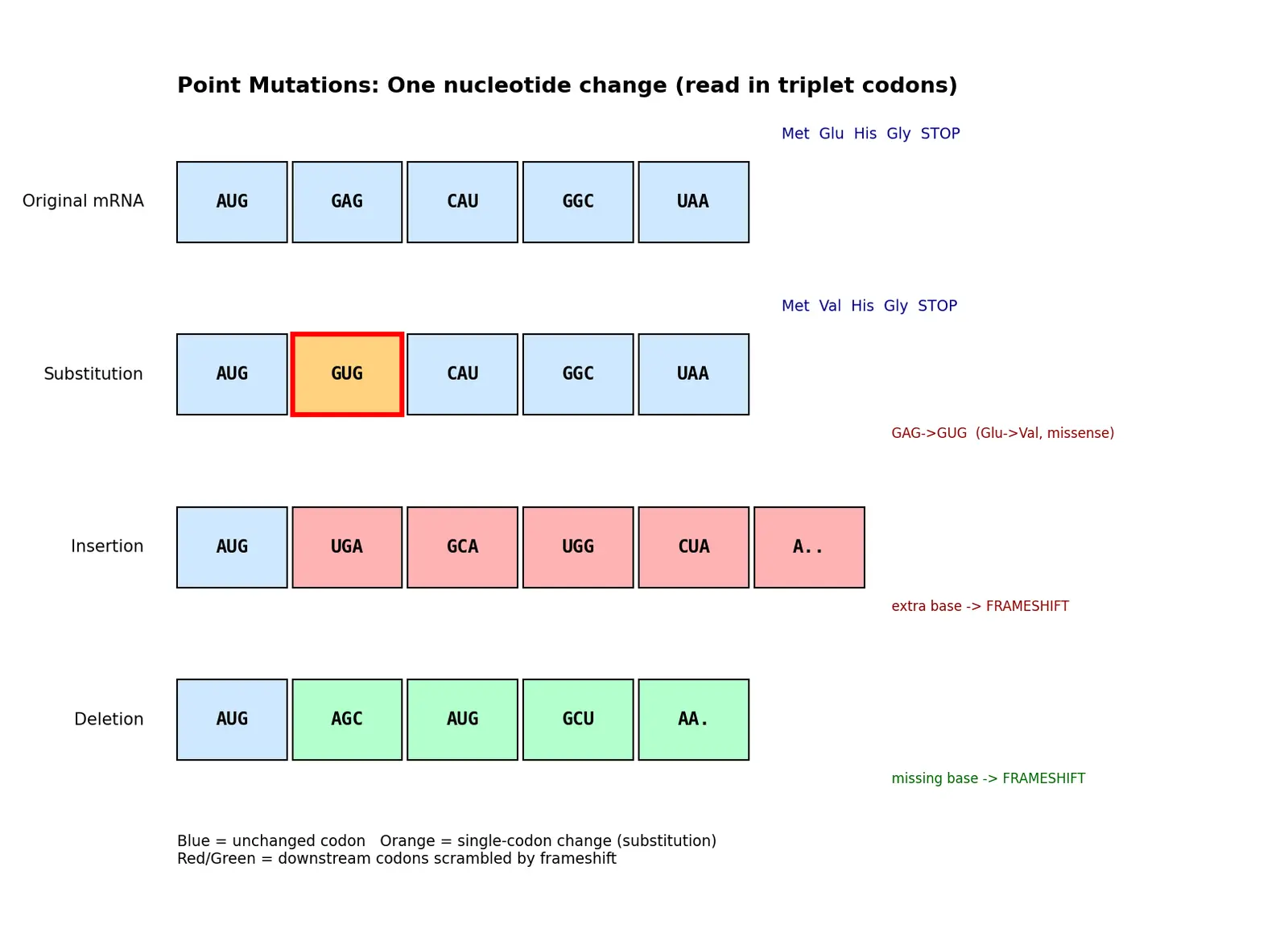 Figure — Distinguish point mutations (substitution, insertion, deletion)