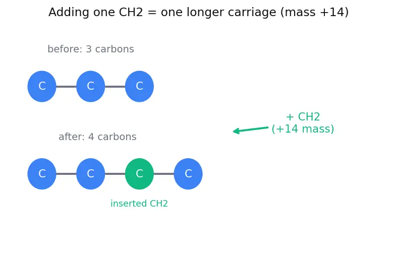 Figure — Functional groups and homologous series