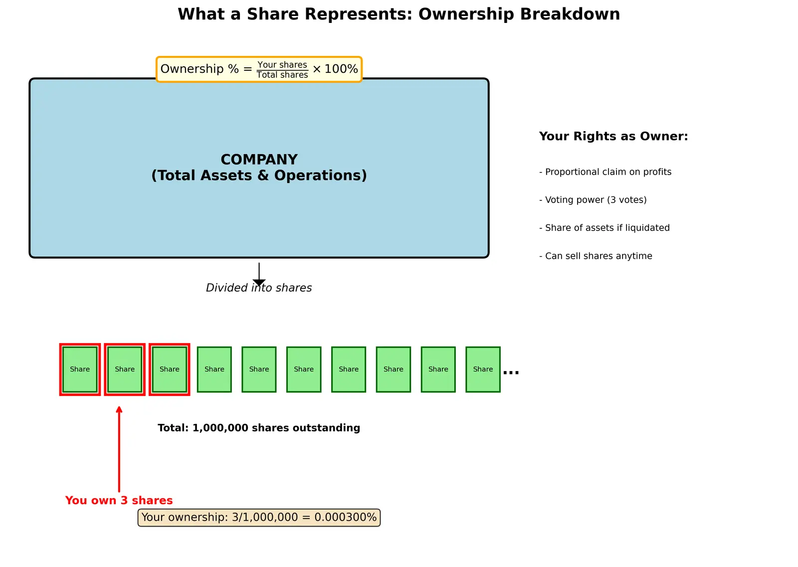 Figure — Understand what a share - stock represents (ownership)