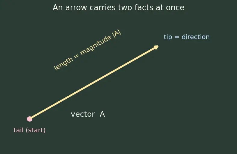 Figure — Scalars vs vectors — definition, examples