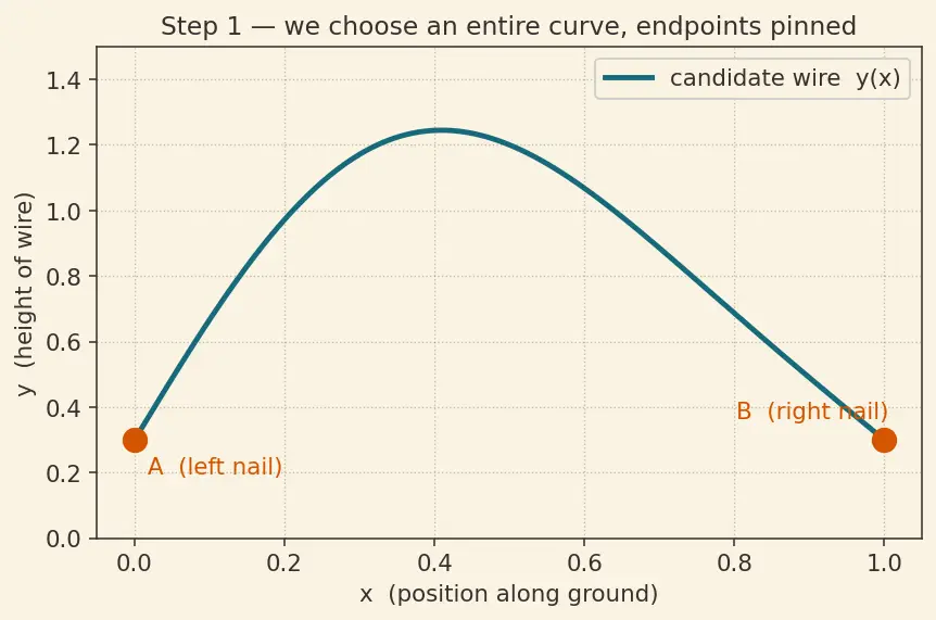 Figure — Calculus of variations — functionals, functional derivative