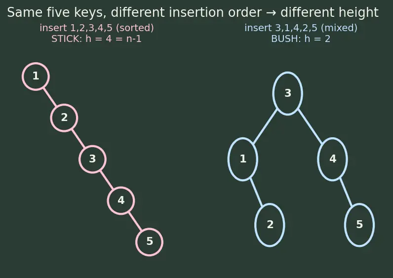 Figure — BST — worst case O(n) — motivation for balancing