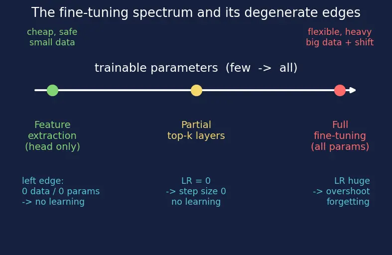 Figure — Full fine-tuning vs feature extraction