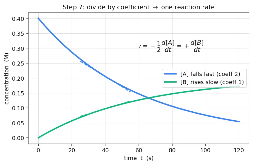 Figure — Rate of reaction — average vs instantaneous