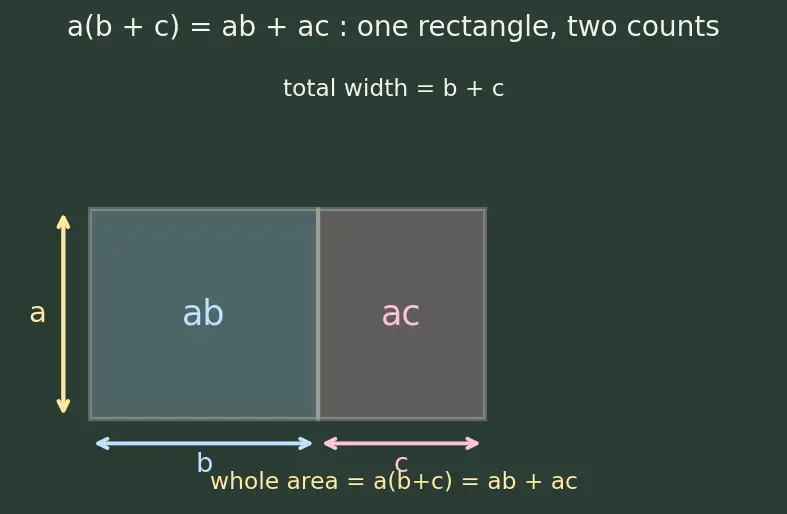 Figure — Multiplication of algebraic expressions — monomial × polynomial, polynomial × polynomial