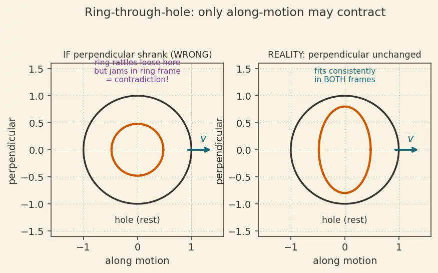 Figure — Length contraction — derivation