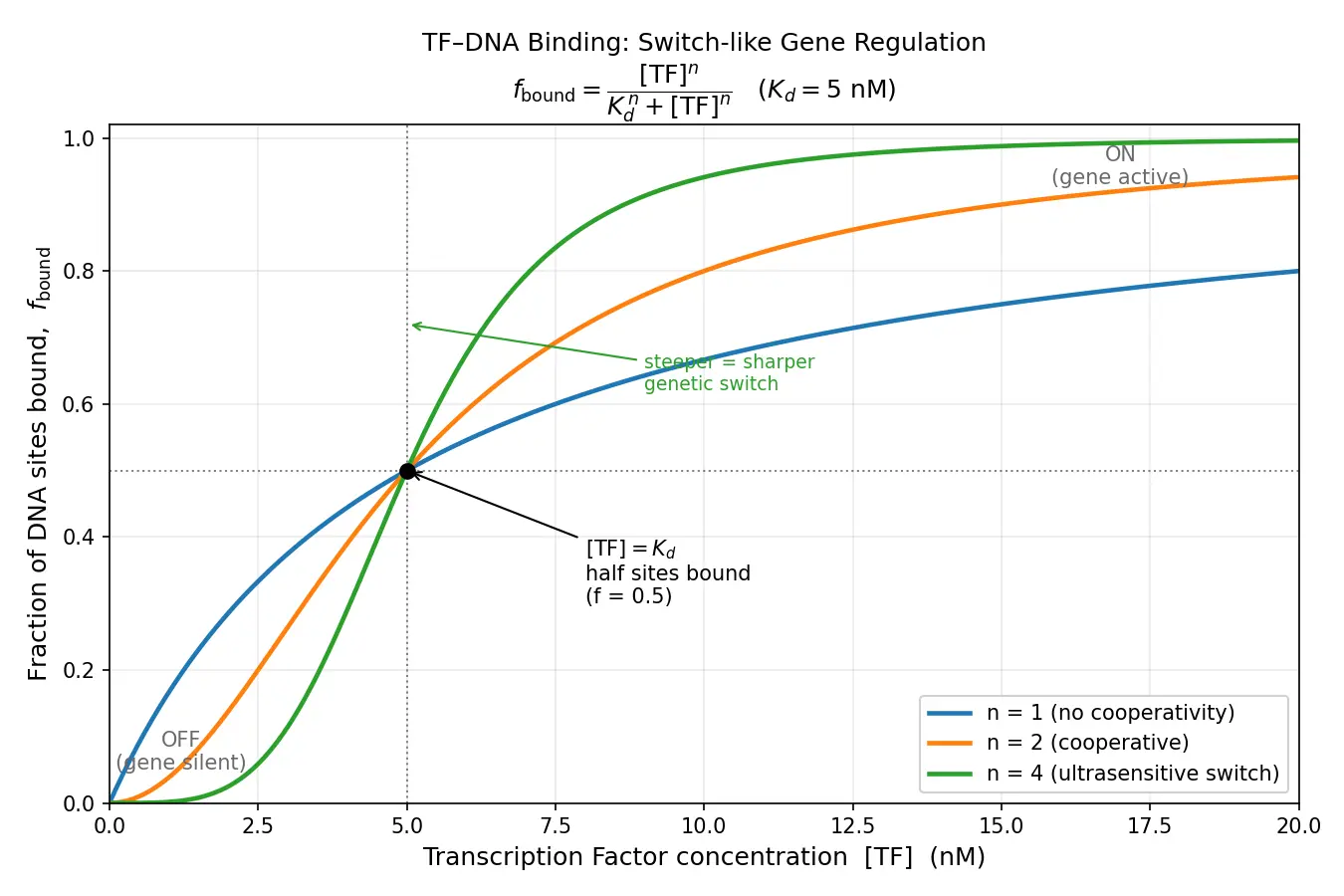 Figure — Explain transcription factors and enhancers