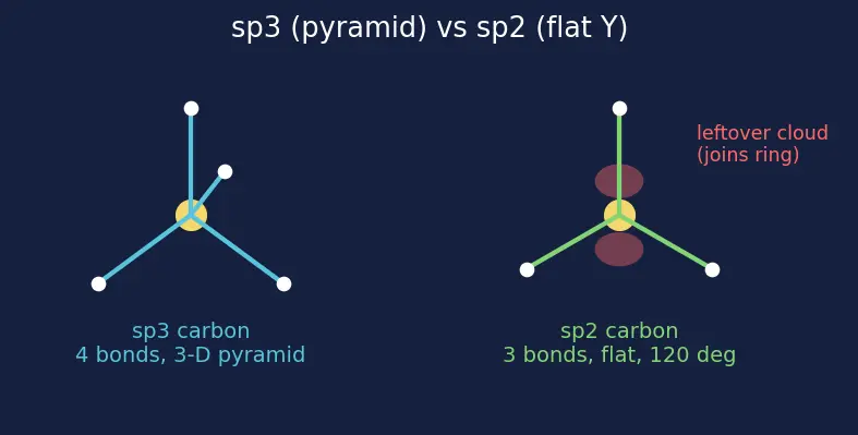 Figure — Aryl halides — low reactivity, addition-elimination (benzyne mechanism), nucleophilic aromatic substitution