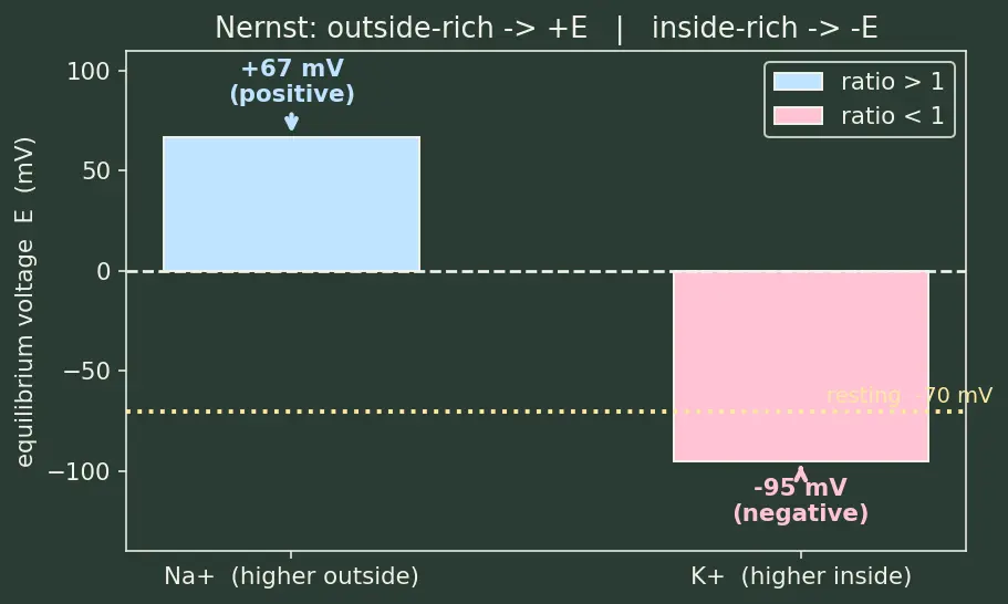 Figure — Biological importance of Na, K, Ca, Mg