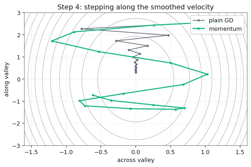 Figure — Momentum and Nesterov momentum