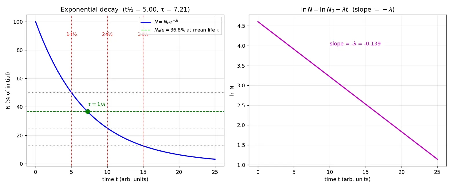 Figure — Decay kinetics — first-order; half-life, mean life, activity
