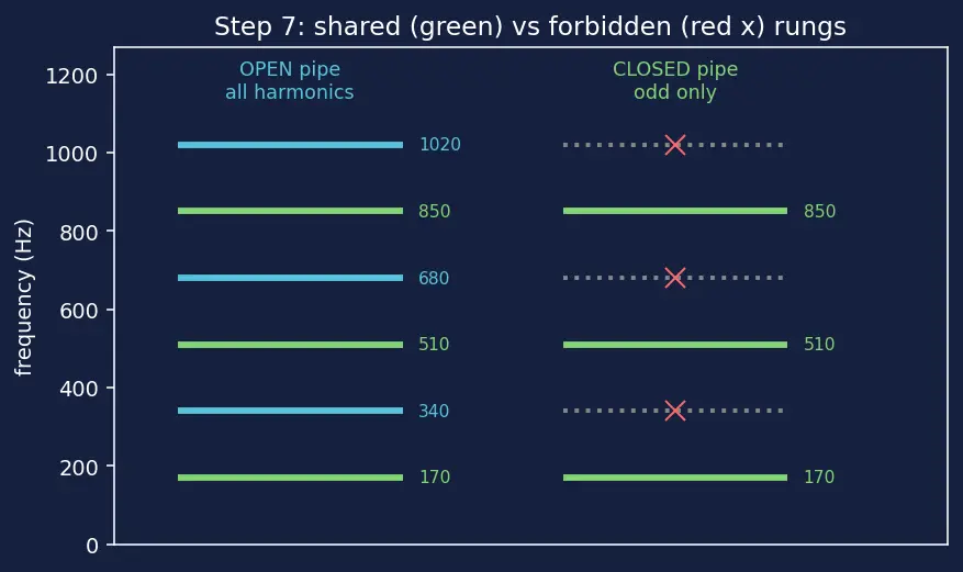 Figure — Harmonics and overtones — on strings and in pipes
