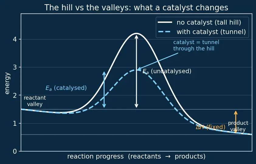 Figure — Catalysis — homogeneous, heterogeneous, enzyme catalysis